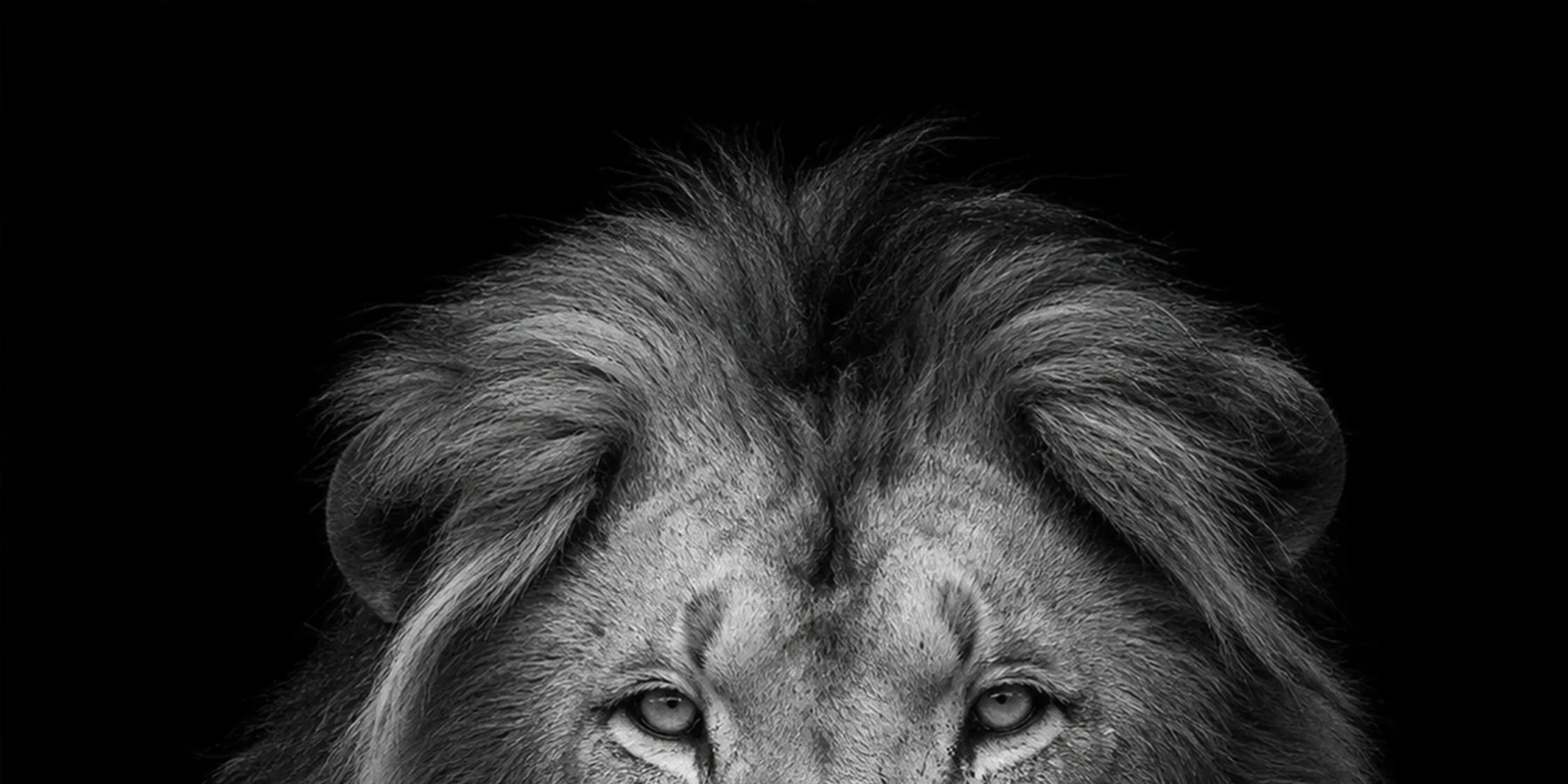 Premium Wildlife Art Collection cinematic luxury collection cover