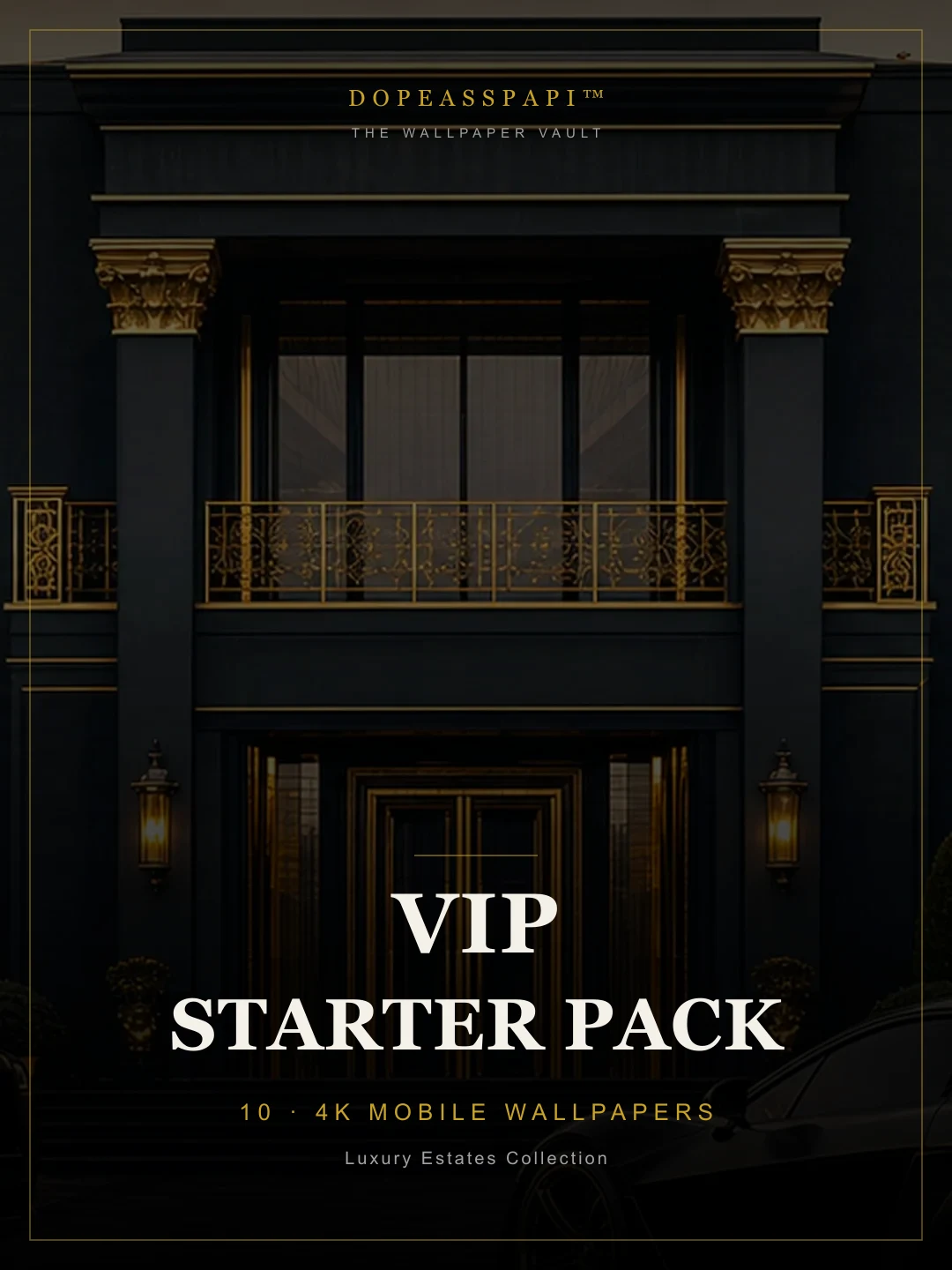 VIP Starter Pack — cover